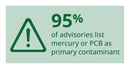 95% of advisories list mercury or PCB as primary contaminant.