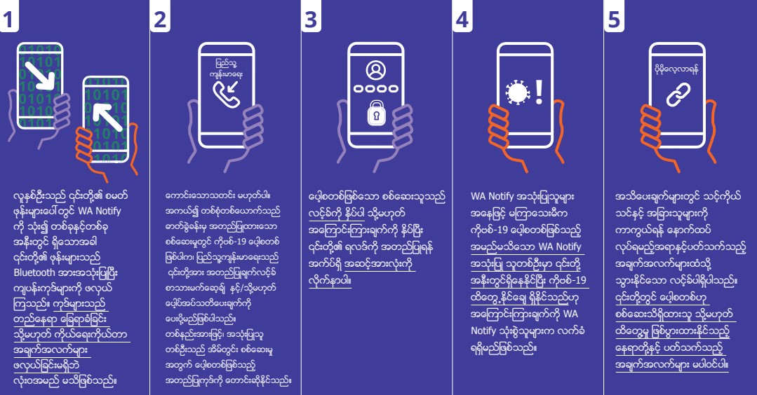 WA Notify Flow Chart in Burmese - Click to Read as PDF