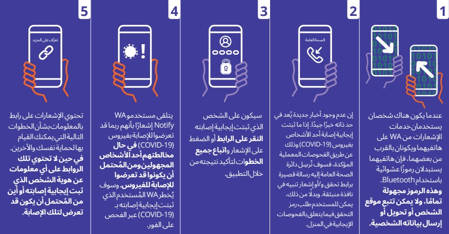 WA Notify Flow Chart in Arabic - Click to Read as PDF