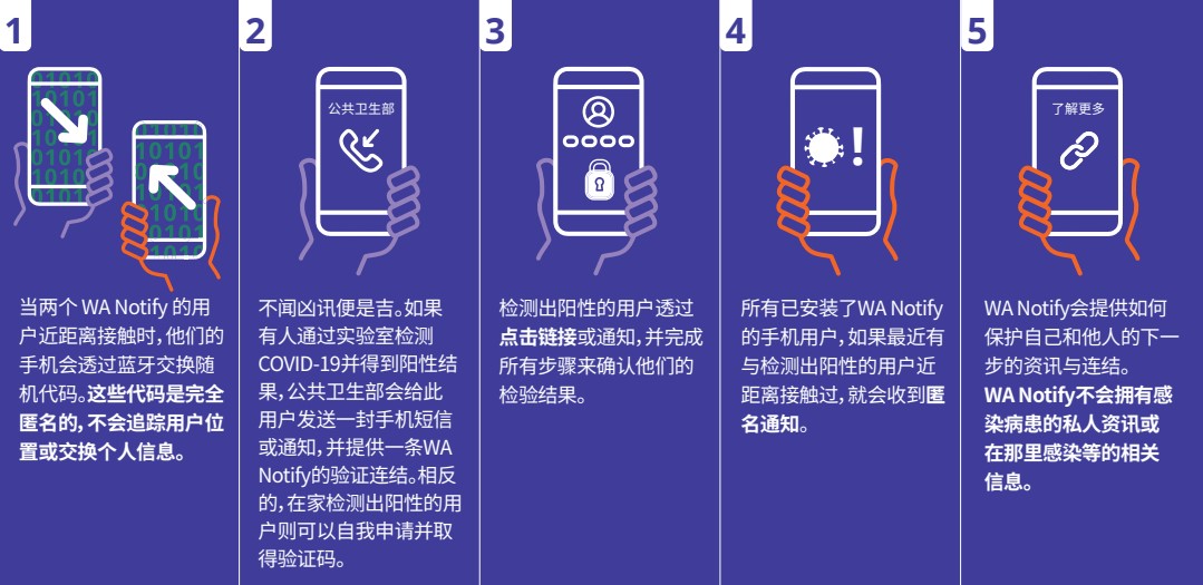 WA Notify Flow Chart in Chinese Simplified - Click to Read as PDF