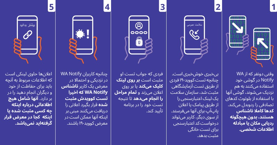 WA Notify Flow Chart in Farsi - Click to Read as PDF