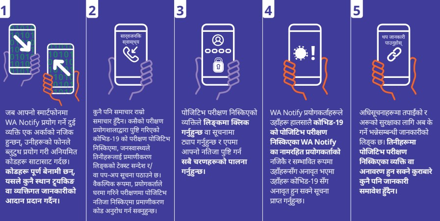WA Notify Flow Chart in Nepali - Click to Read as PDF