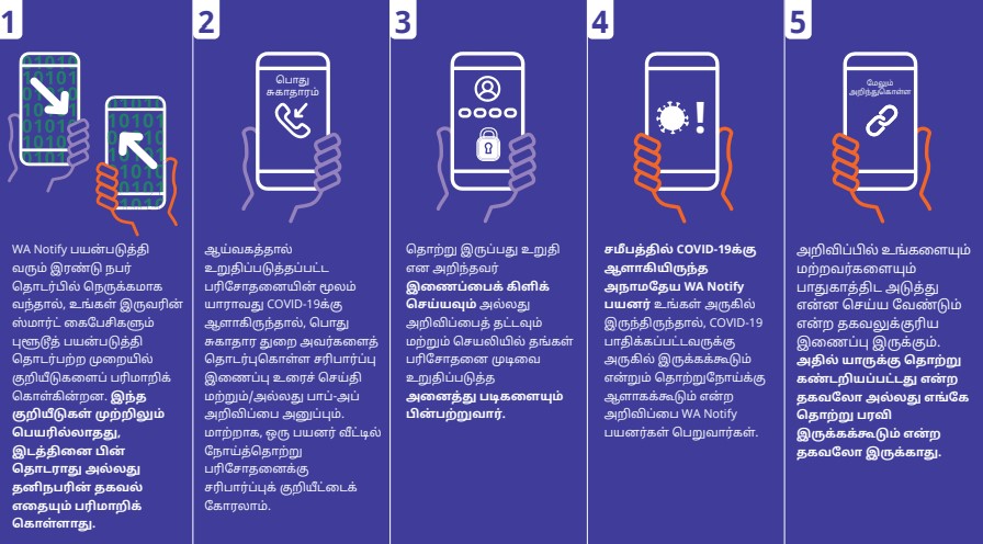 WA Notify Flow Chart in Tamil - Click to Read as PDF