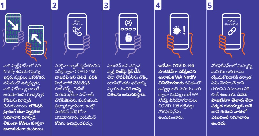 WA Notify Flow Chart in Telugu - Click to Read as PDF