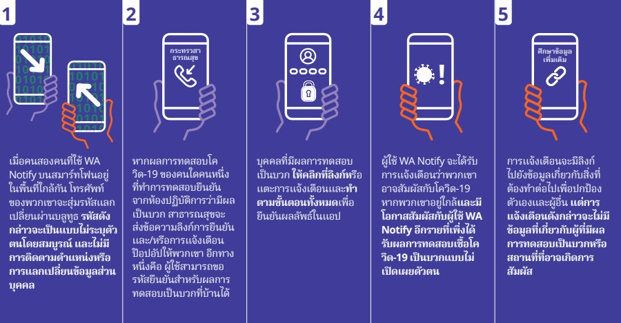 WA Notify Flow Chart in Thai - Click to Read as PDF