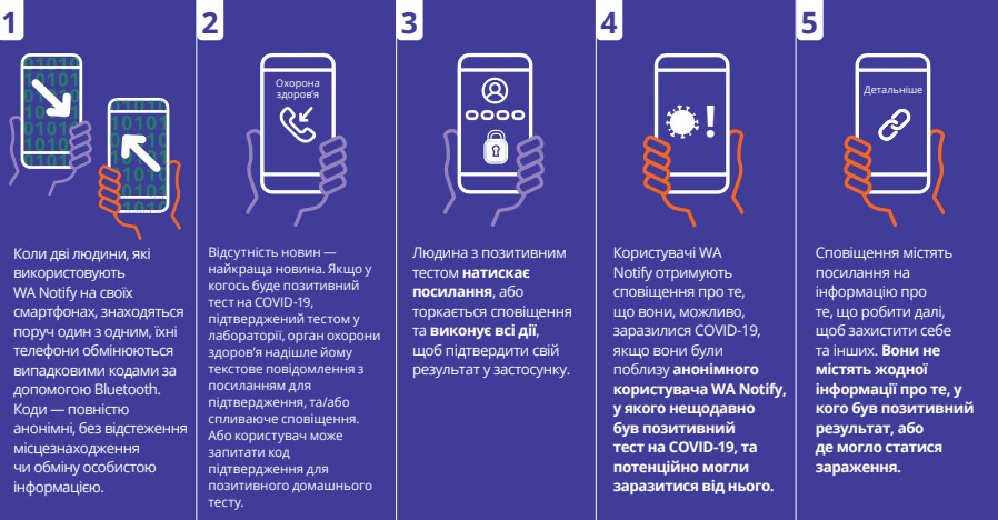 WA Notify Flow Chart in Ukrainian - Click to Read as PDF