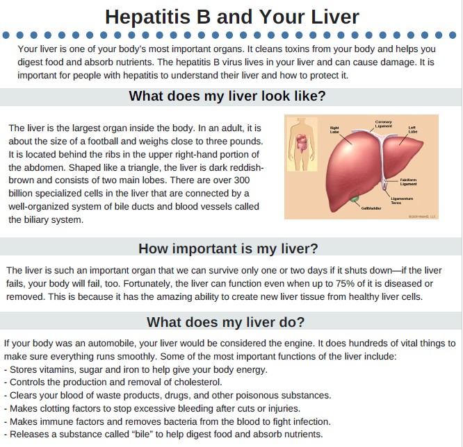 Hepatitis Facts and Liver Health