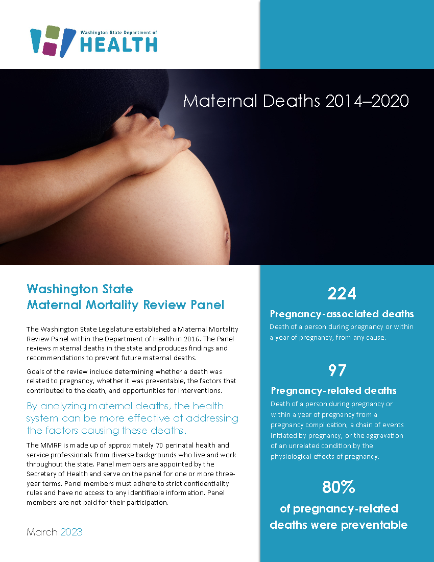 The first page of the 2023 Maternal Mortality Report Legislative Factsheet.