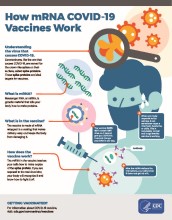 Popshop How mRNA Vaccines Work