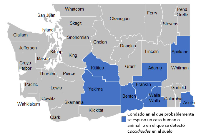 A map of Washington state showing counties where human or animal cases were likely exposed to Coccidioides, or where Coccidioides was detected in the soil. Highlighted counties include: Kittitas, Yakima, Benton, Franklin, Adams, Walla Walla, Asotin, and Spokane.