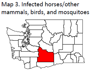 Infected horses/other mammals, birds, and mosquitoes.