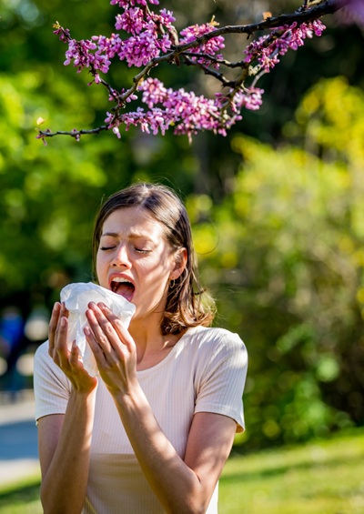 Woman sneezing into tissue and a pink flowering tree looms above her.