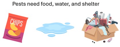 Three drawings, bag of chips, a puddle of water, and a cardboard box full of random items.