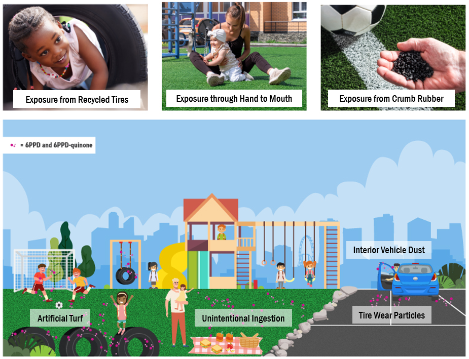 Exposure to 6PPD and 6PPD-quinone from Recreational Fields and Playgrounds