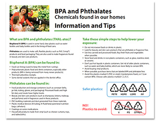 Common BPA Sources to Avoid - University Health News