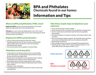 Image of Phthalates document