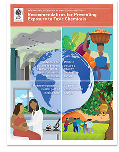 Image of Recommendations for Reducing Toxic Exposure report