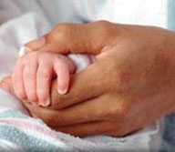 Adult hand holding baby hand.