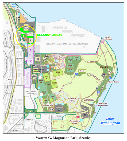 Map of the cleanup areas at Magnuson Park.
