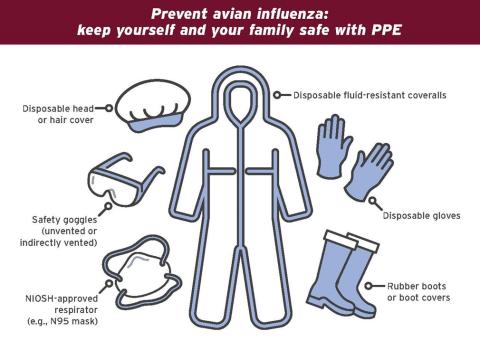 Schematic to show personal protective equipment (PPE)