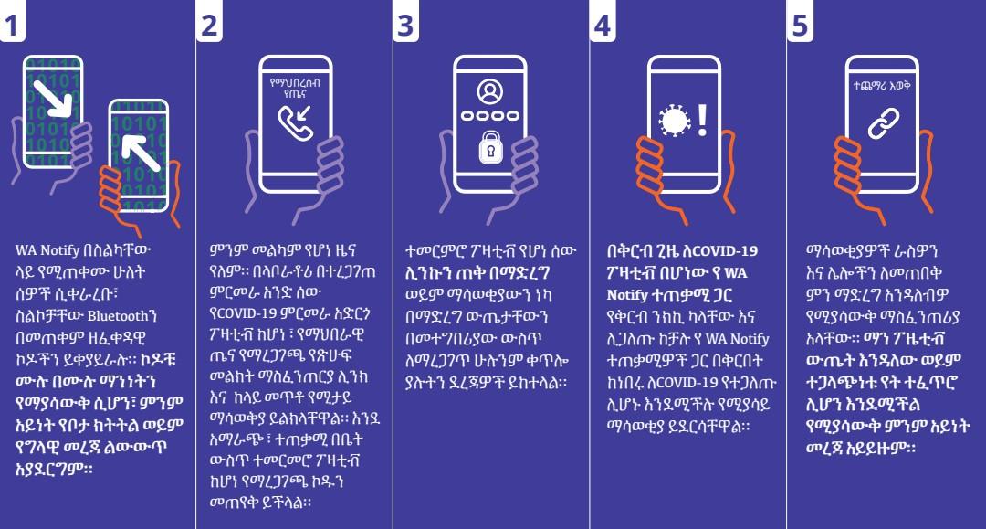 WA Notify Flow Chart in Amharic - Click to read as PDF