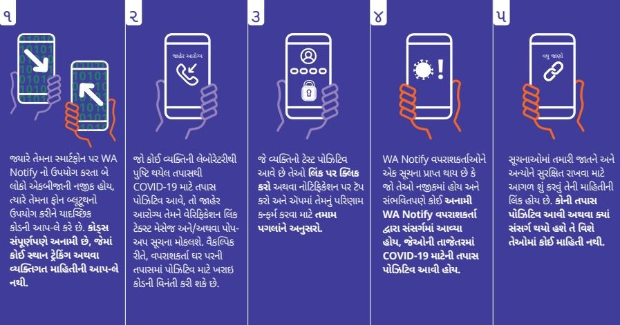 WA Notify Flow Chart - Click to Read as PDF