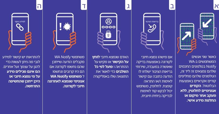 WA Notify Flow Chart - Click to Read as PDF