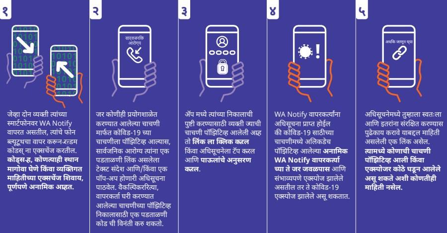 WA Notify Flow Chart - Click to Read as PDF