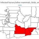 WA map with red section showing county with WNV cases