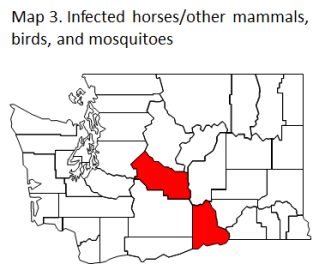 Map of Washington where there are infected houses/other mammals, birds, and vector mosquitoes. 